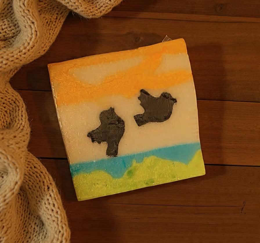 2pk Evergreen Shadows - Hand Crafted Shea Butter Soap